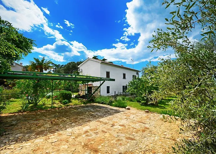 Lanima بوريتش